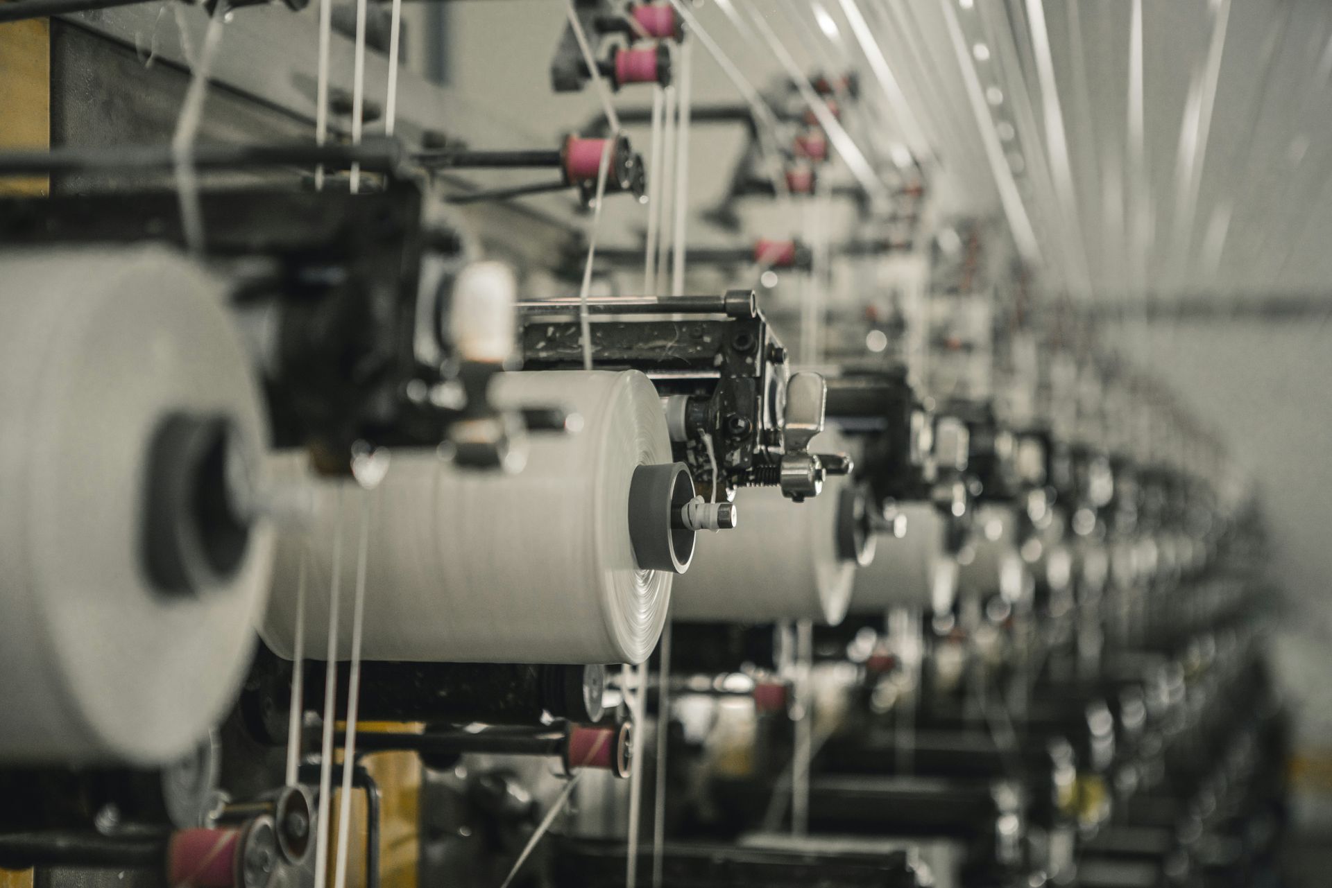 Kingspeed manufacturing facility and quality-controlled production for pet accessories
